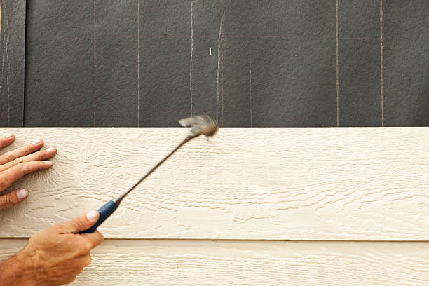 Best Stone Veneer Siding  in Ecru, MS